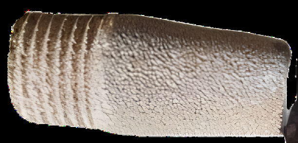 Filter for Aeration 1/4"